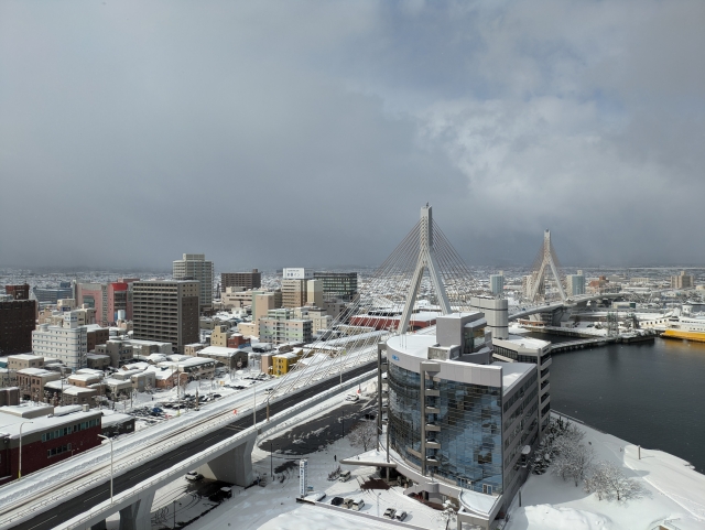 積雪している青森市